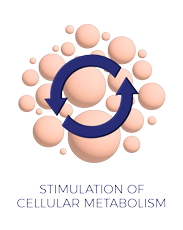 Estheled by Corpoderm stimulates the cellular metabolism